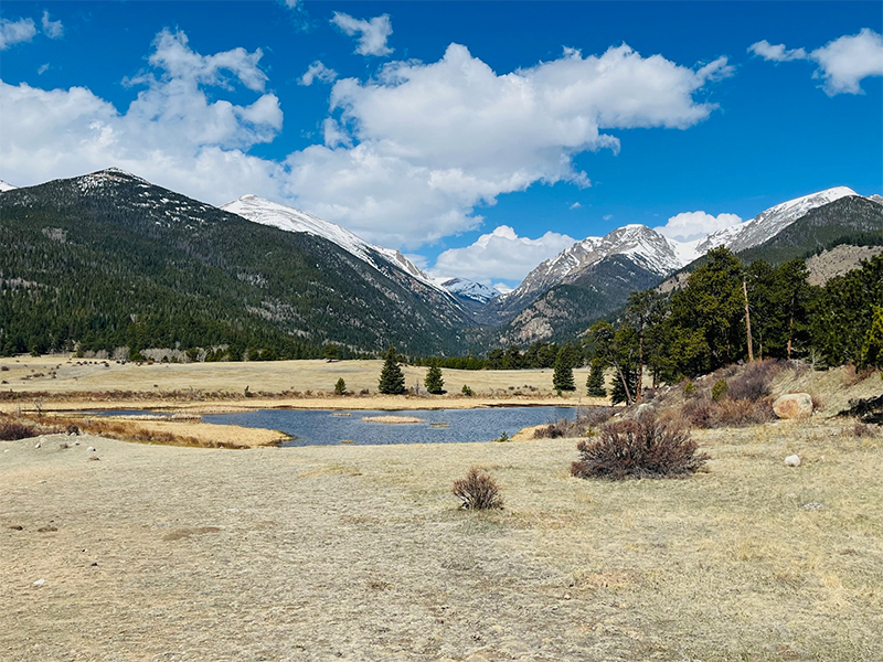 Peaceful mountain landscape with open meadow, blue sky, and snow-capped peaks representing clarity, balance, and accessible healthcare coverage.